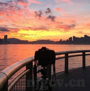 91麻豆国产网-揭秘，91麻豆国产网在网络文化中的真正位置与影响