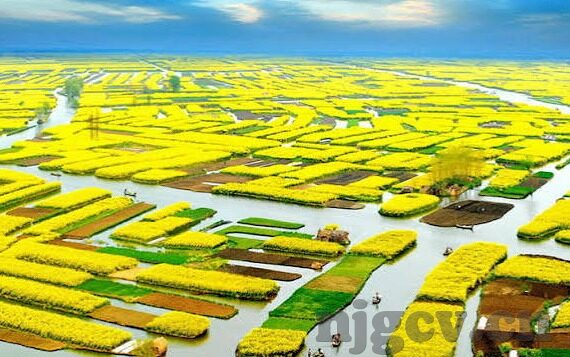 av日韩 澳门赌场-澳门之旅，文化与娱乐的交织