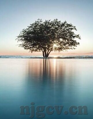 大象传媒app下载官方版-大象传媒，连接创意与生活的桥梁