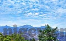 大象传媒免费观看网站-探索大象传媒，免费观影的数字乐园