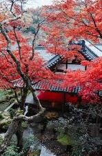 久久精品国产亚洲av麻豆白洁-最新国产影视佳作，感受久久精品国产亚洲av麻豆白洁的非凡魅力