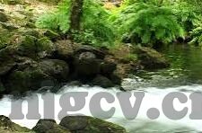 麻豆啊传媒app黄版破解免费ios-麻豆啊传媒app的多元化娱乐探索与IOS适用性分析