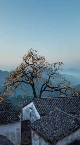 麻豆视频app在线-眼观繁星，麻豆视频app，网络视界的独特风景