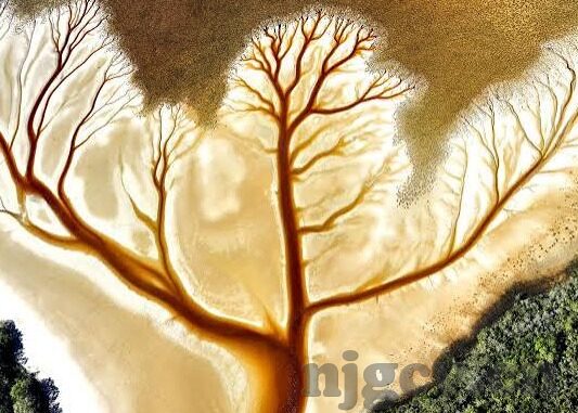 亚洲日韩欧美一区二区三区-亚洲文化与娱乐的多元化视角，日韩、欧美与一区二区三区的独特魅力